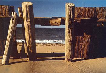 Cover art for issue 109 of The Antigonish Review