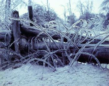 Cover art for issue 112 of The Antigonish Review