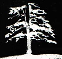 Cover art for issue 155 of The Antigonish Review